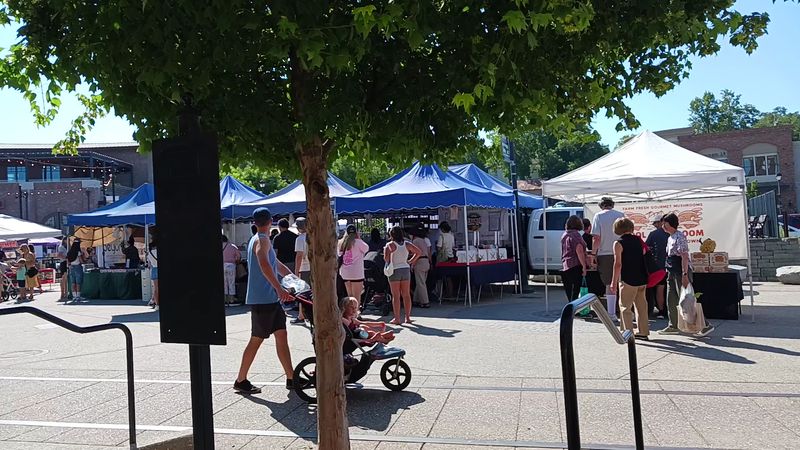 El Dorado Town Center Farmers Market in El Dorado Hills