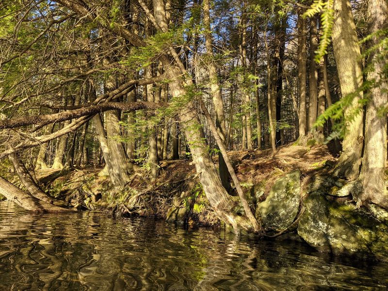 Silver Lake State Park, Barnard