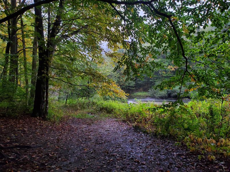 Little River State Park