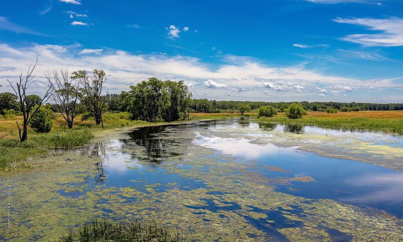 Des Plaines River Trail and Greenway