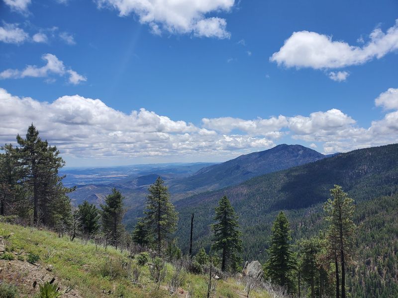 Mendocino National Forest