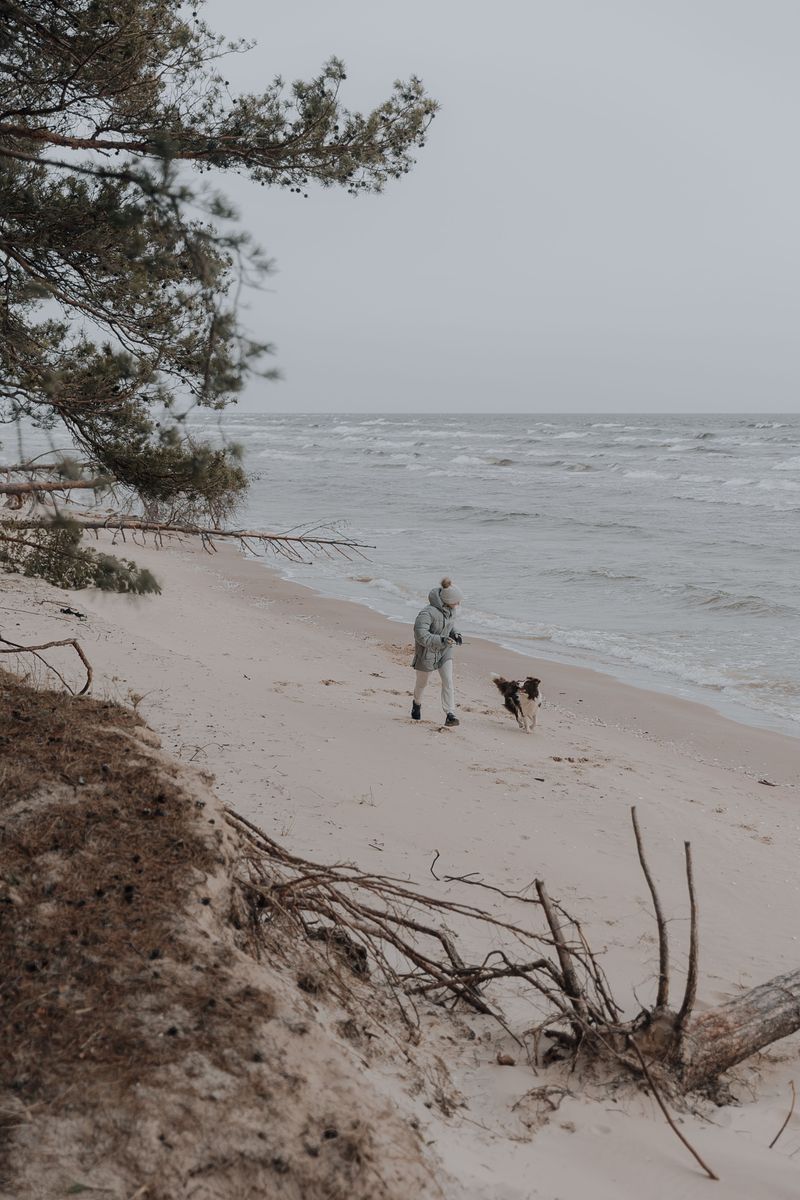 A Sea Breeze Is Not A Tick Barrier