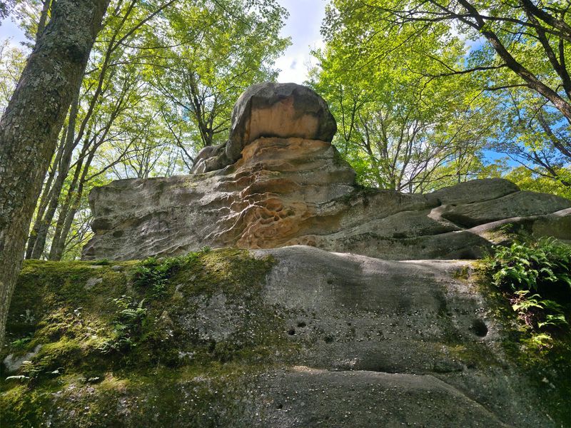 Allegany State Park