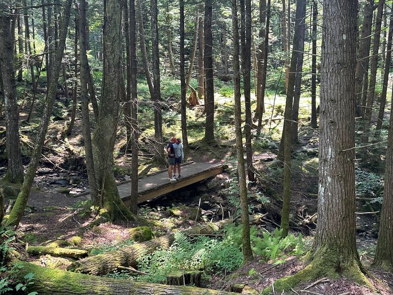 Wiessner Woods