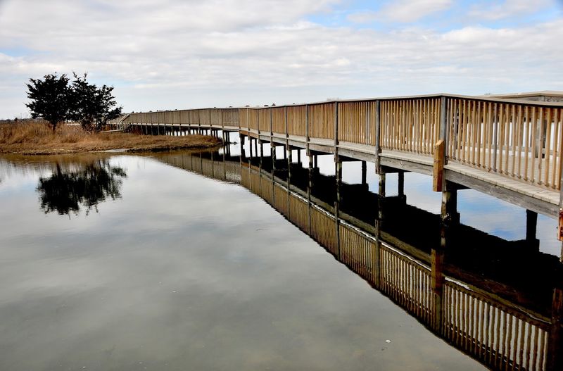 Assateague Runs on Loop-by-Loop Rules