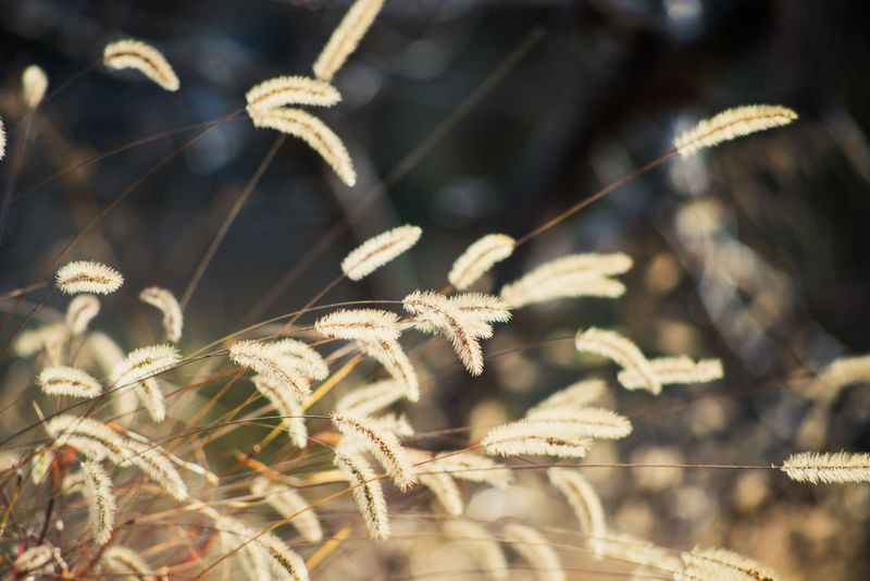 Know When Outdoor Conditions Are Riskier