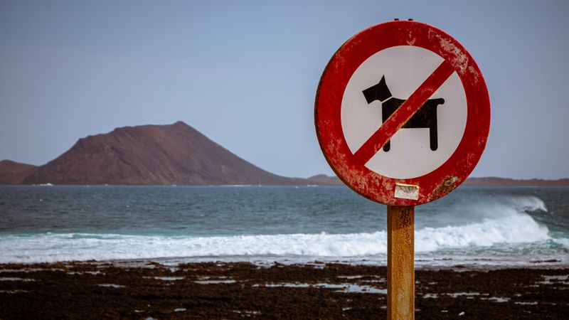 An advisory is a direct message about your dog's safety