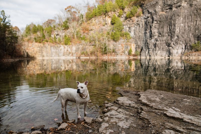 Water Access Is Not A Dog Beach