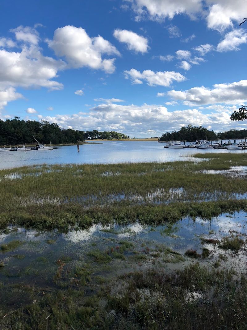 Farm River State Park, East Haven