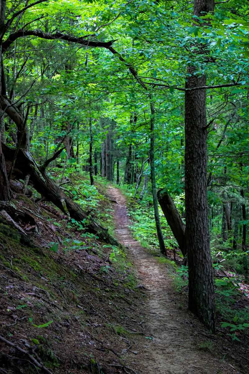 Late Spring Through Early Fall Demands the Most Attention