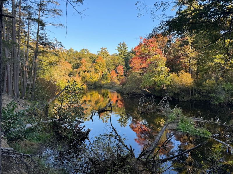 Bradley Palmer State Park, Topsfield