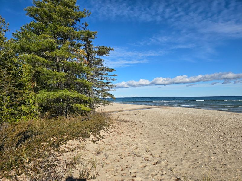 Hoeft State Park, Rogers City