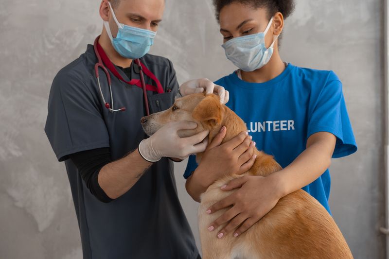 Veterinary Care and Parasite Control Count Too