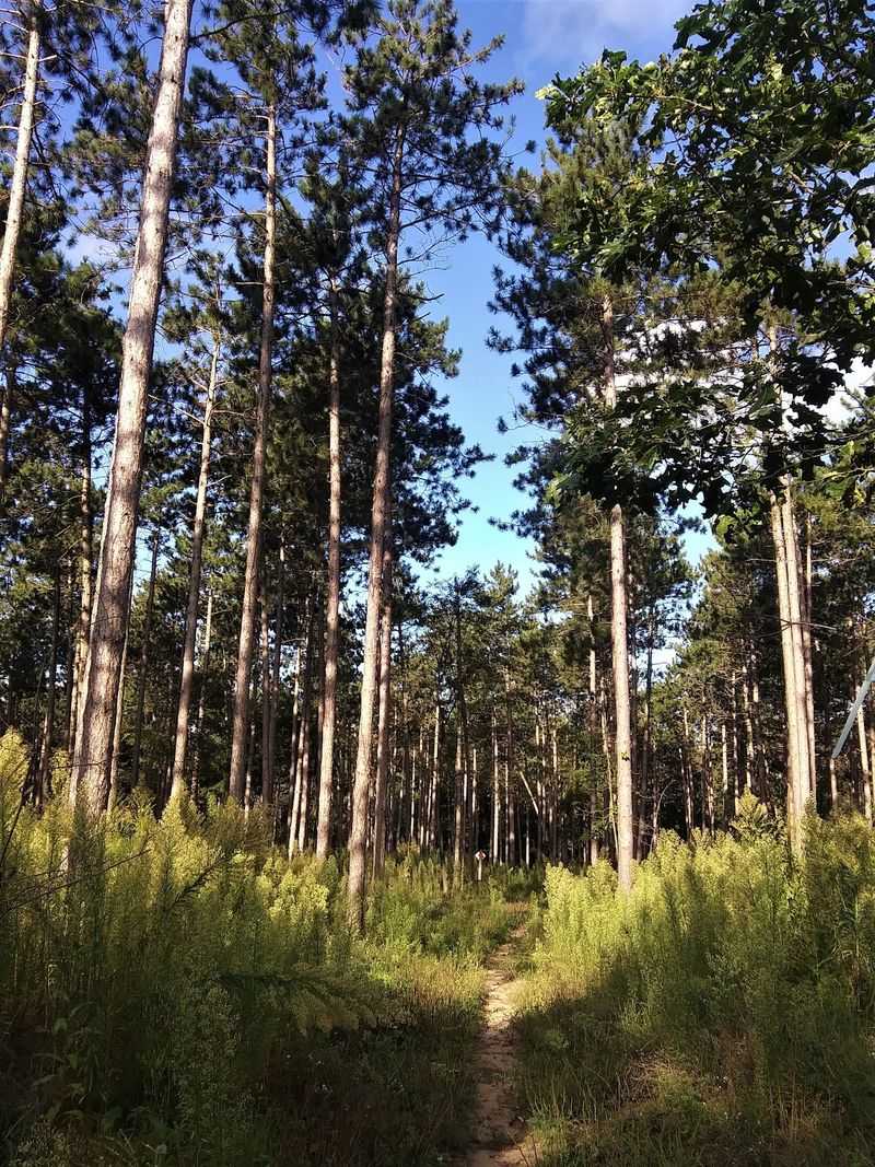Kettle Moraine State Forest, Southeastern Wisconsin
