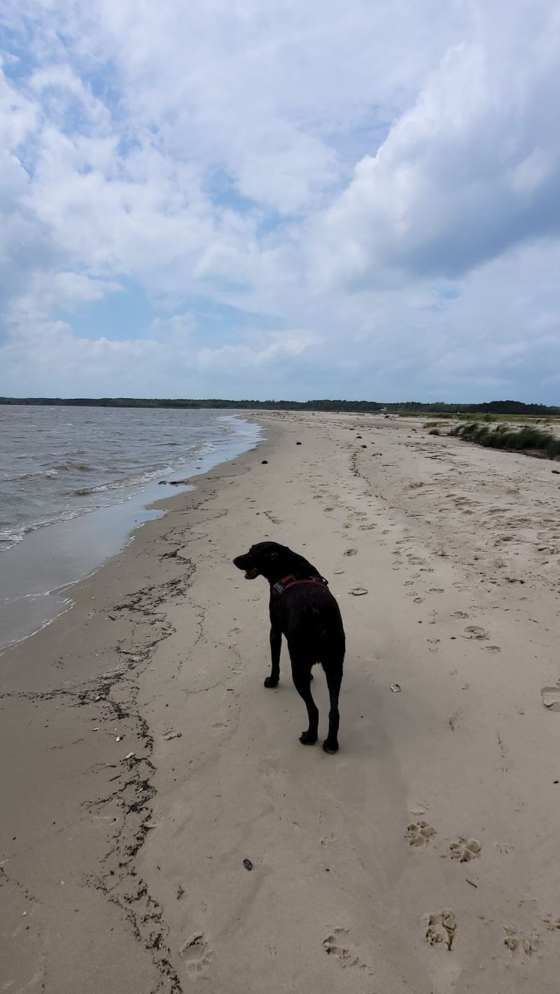 Bethel Beach Natural Area Preserve, Onemo