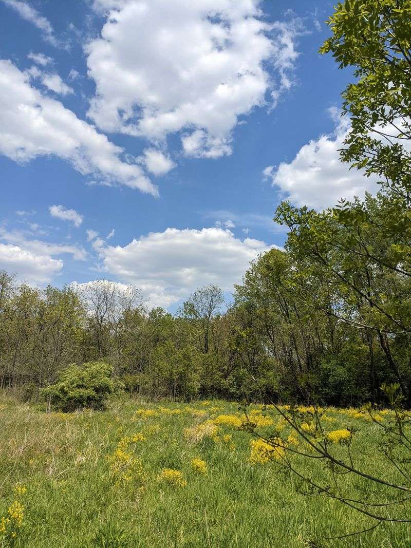Oldfield Oaks Forest Preserve, Darien
