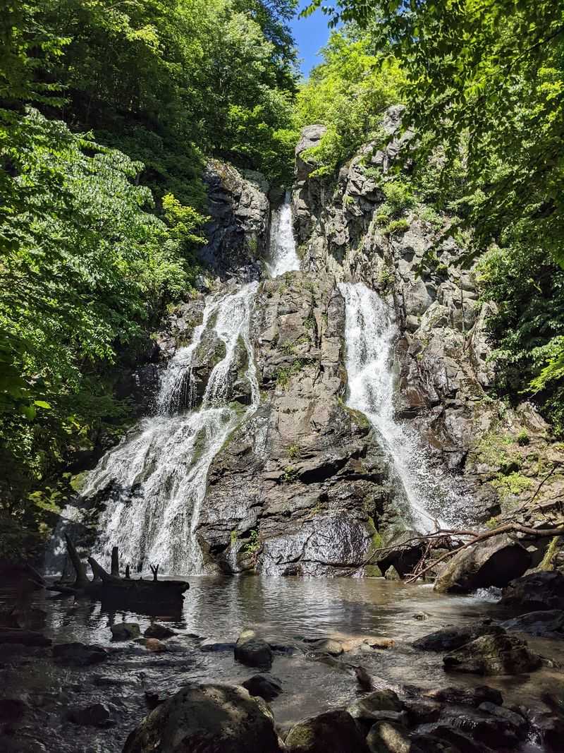 South River Falls Trail