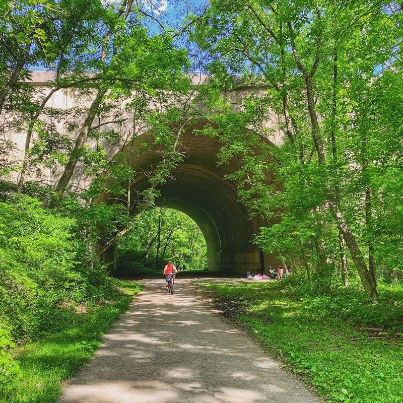 Blacktop Trails on Summer Walks