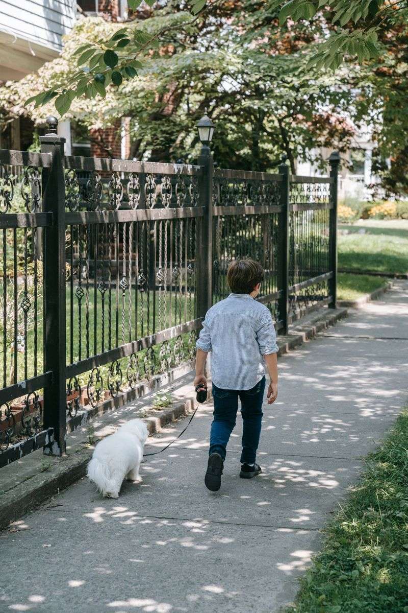 Shorter Walks May Be The Better Choice