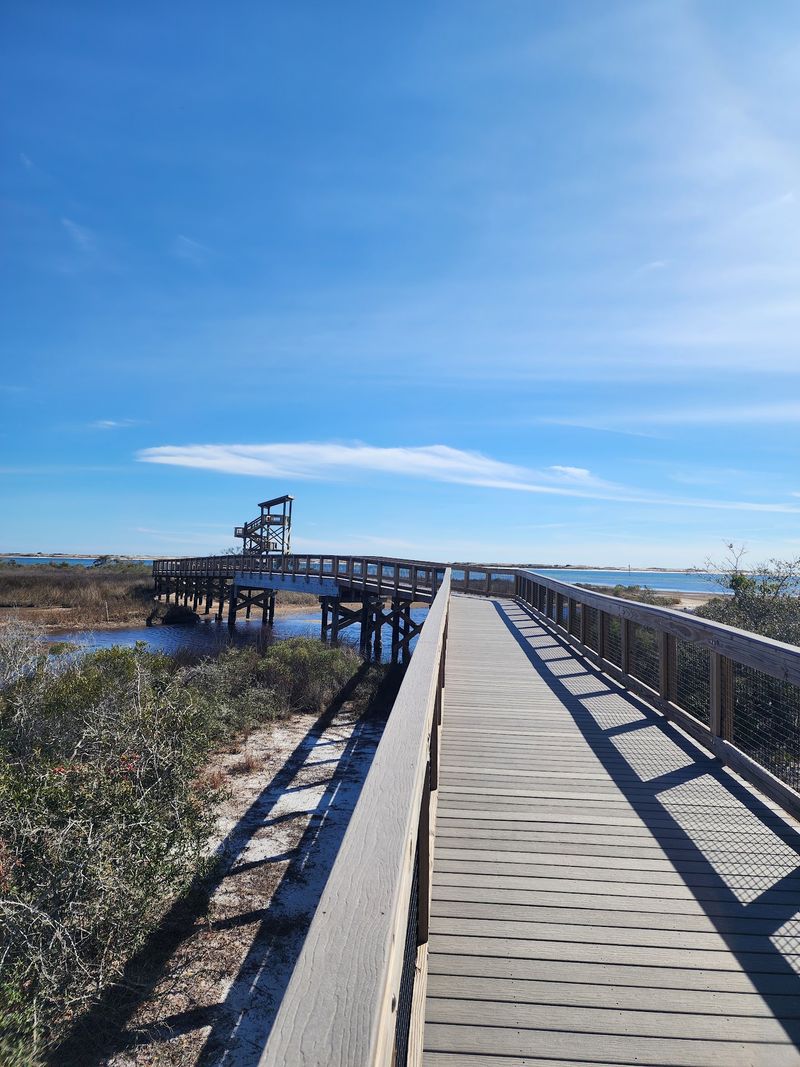 Big Lagoon State Park Brings Dogs to Northwest Florida