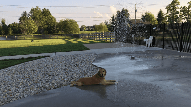 Rocky Fork Metro Park Dog Splash Pad - Westerville