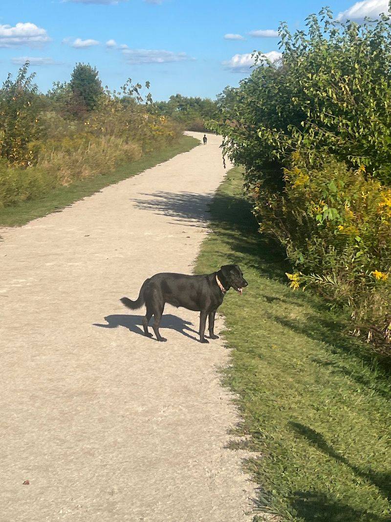 Hawk Hollow Forest Preserve, Bartlett