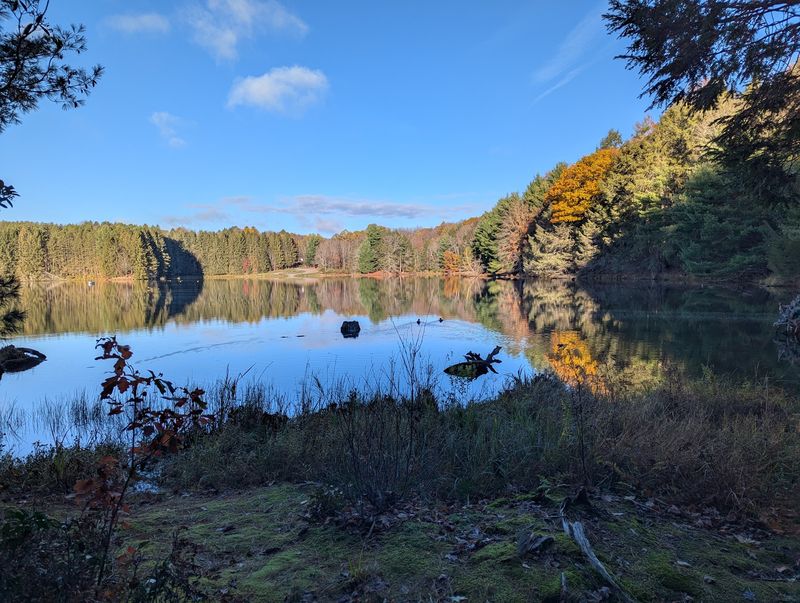 Hills Creek State Park Campground