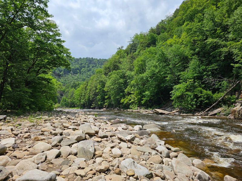 Worlds End State Park, Forksville
