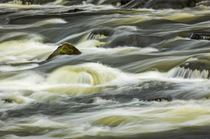 Fast Water Can Sweep Dogs Away