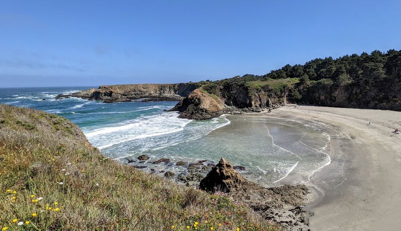 Mendocino Coast Drives Pair Ocean Views With Dog-Friendly Stops