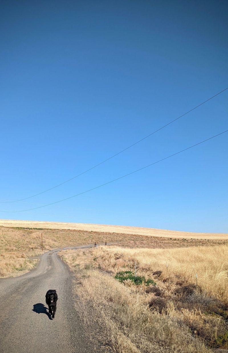 Walk a Stretch of the Columbia Plateau Trail