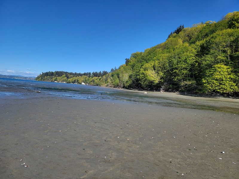 Walk The Forest And Beach At Dash Point