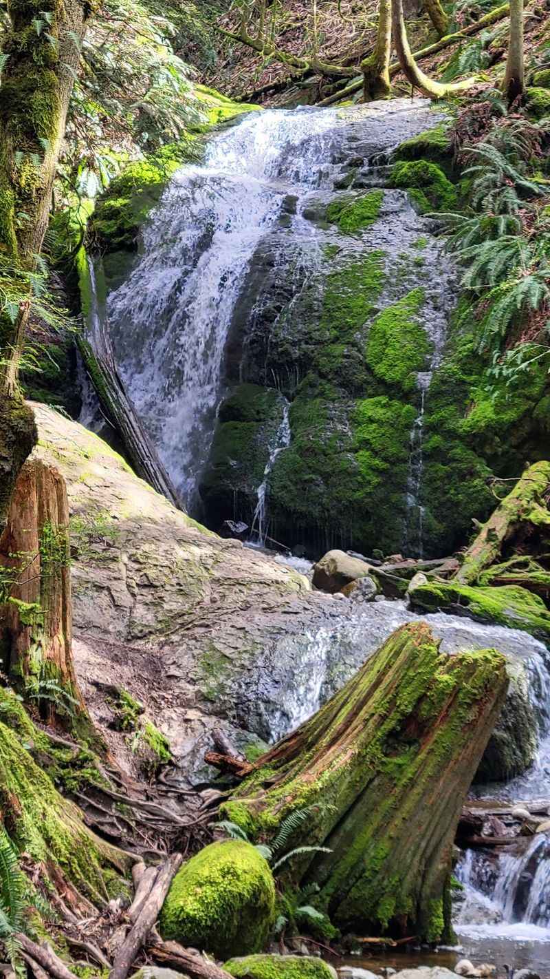 Find Coal Creek Falls At Cougar Mountain