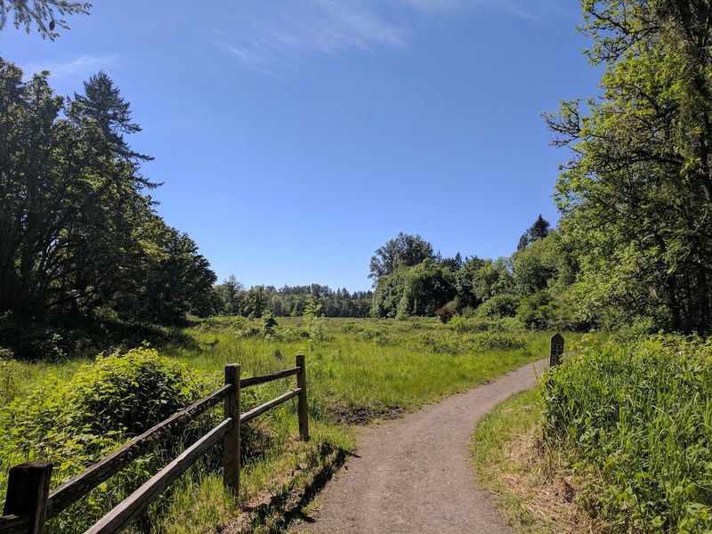 Explore Elijah Bristow State Park