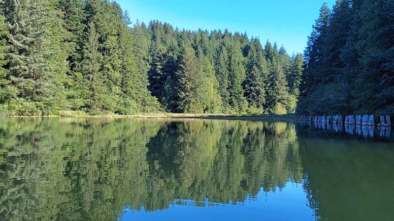 Explore Eel Lake at William M. Tugman State Park
