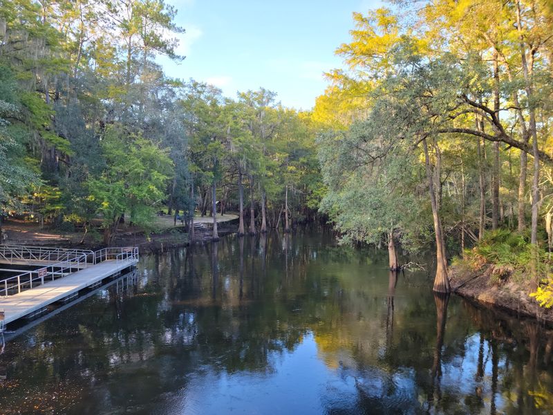 Follow forest paths at O'Leno State Park