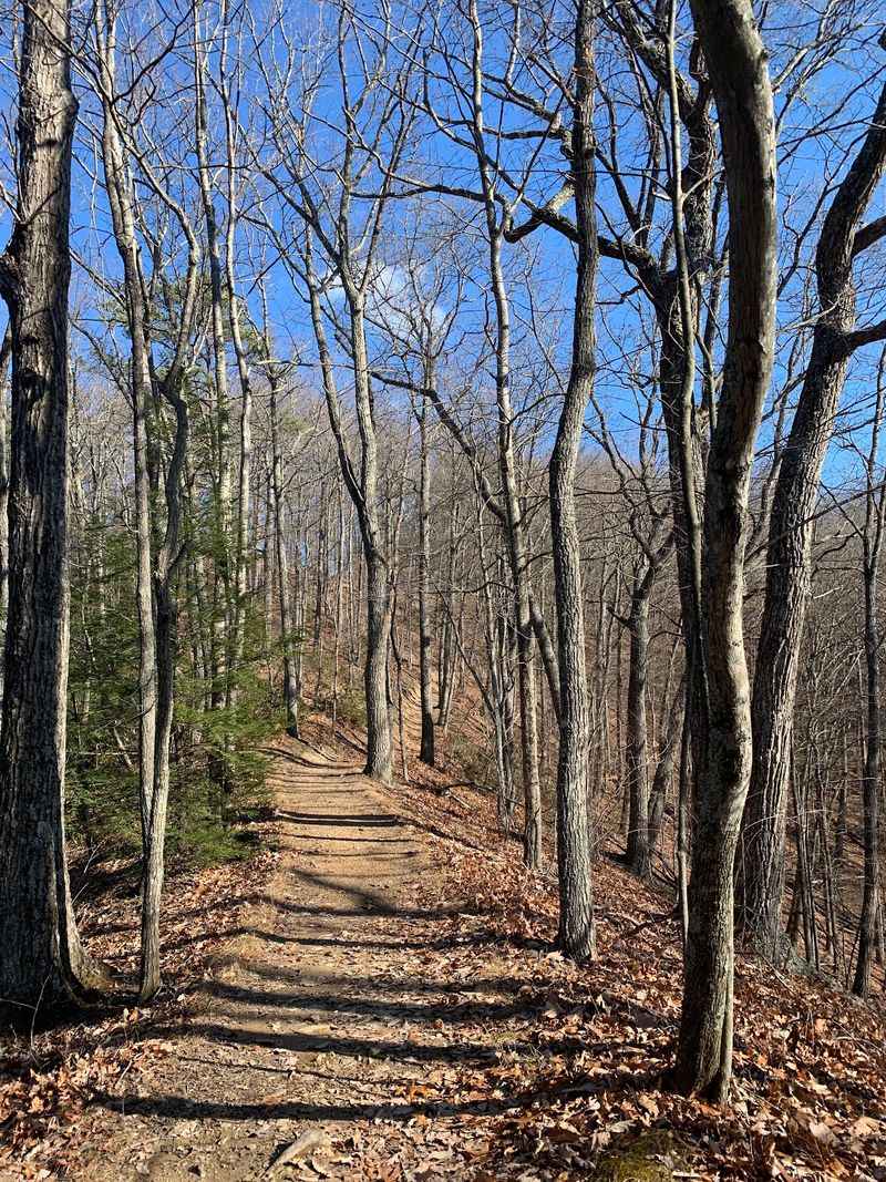 Climb toward Molly's Knob at Hungry Mother State Park