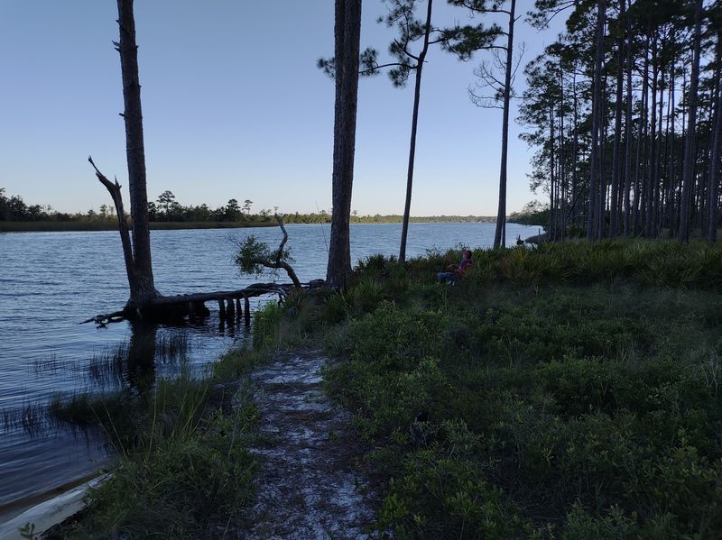 Camp and explore at Ochlockonee River State Park