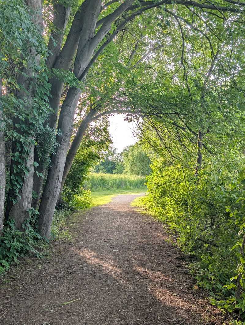 Walk beneath Natural Bridge with your dog