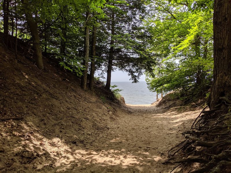 Saugatuck Dunes State Park for a Scenic Walk