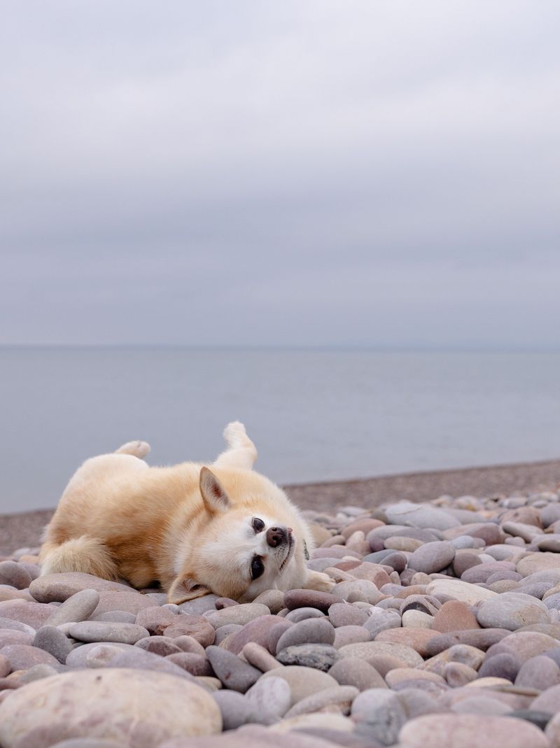 Petoskey