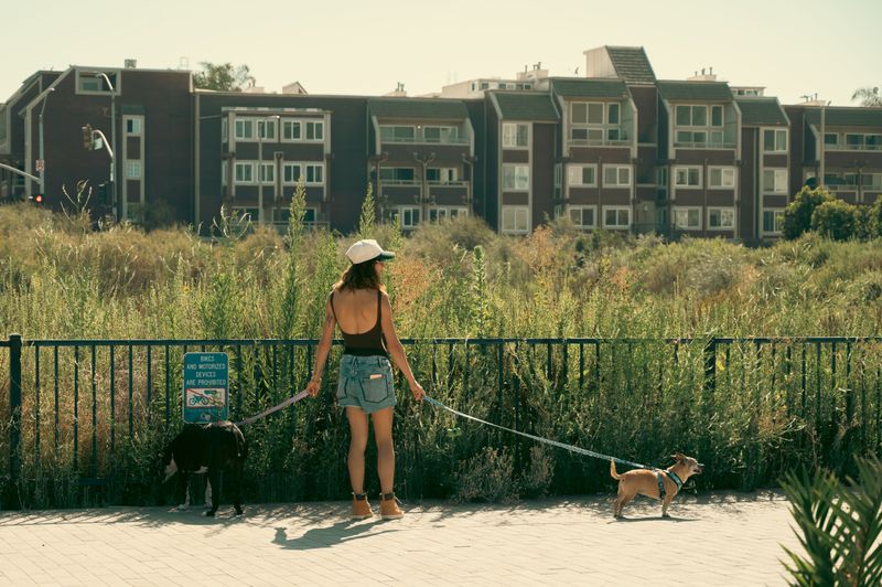 Apartment Leases Can Limit the Number of Dogs