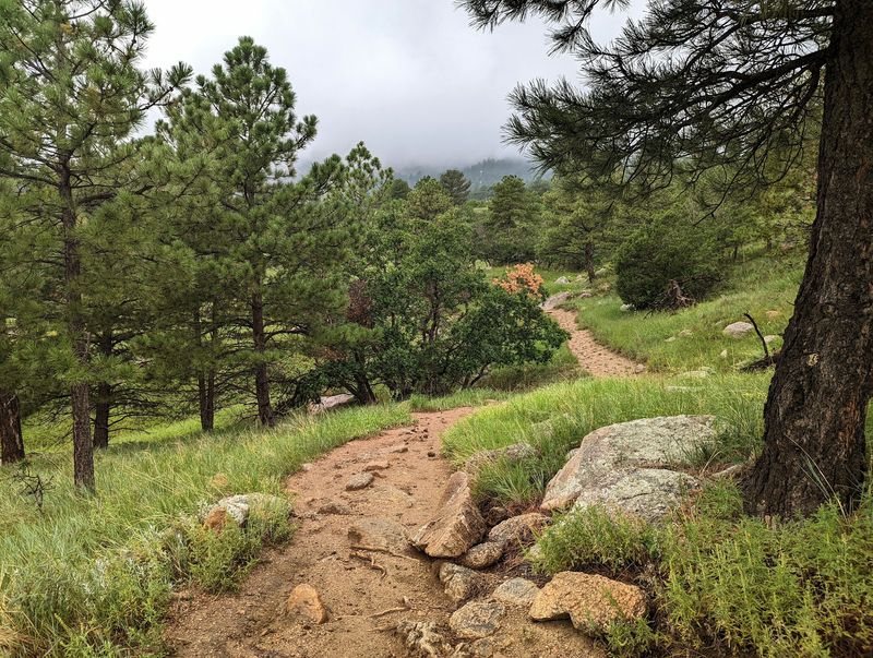 Acorn Alley, Cheyenne Mountain State Park