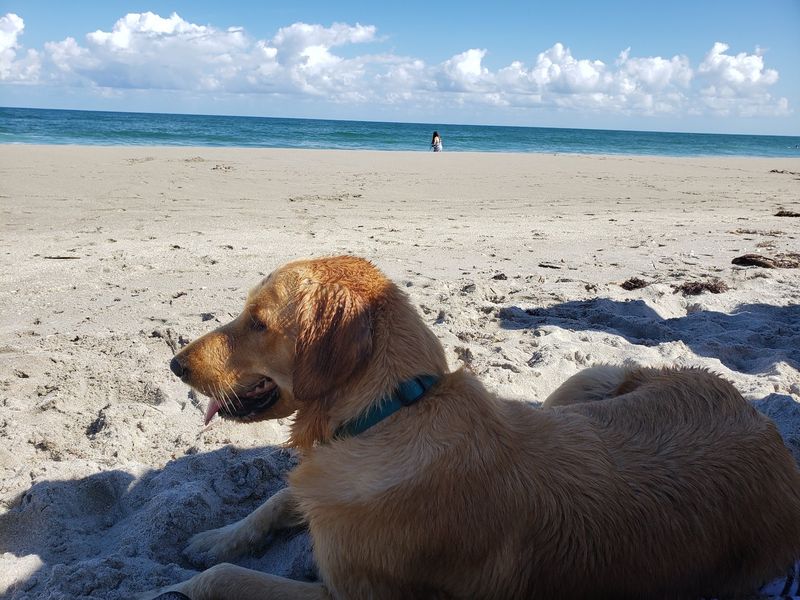 Jupiter Dog Beach, Jupiter