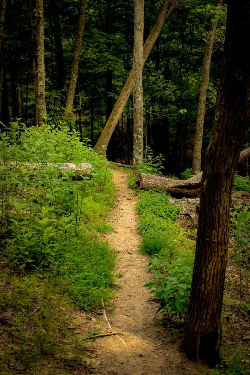 Stick to the marked path