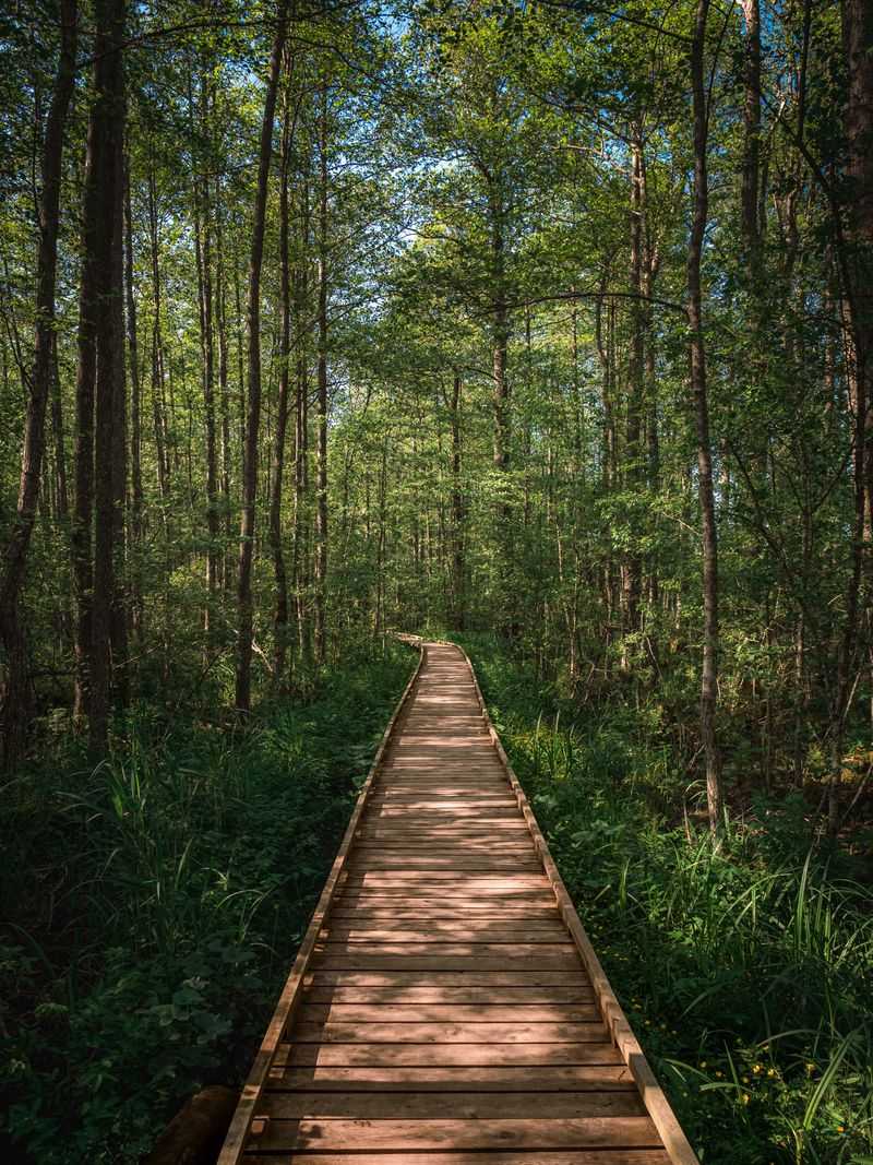 Stay On Designated Trails