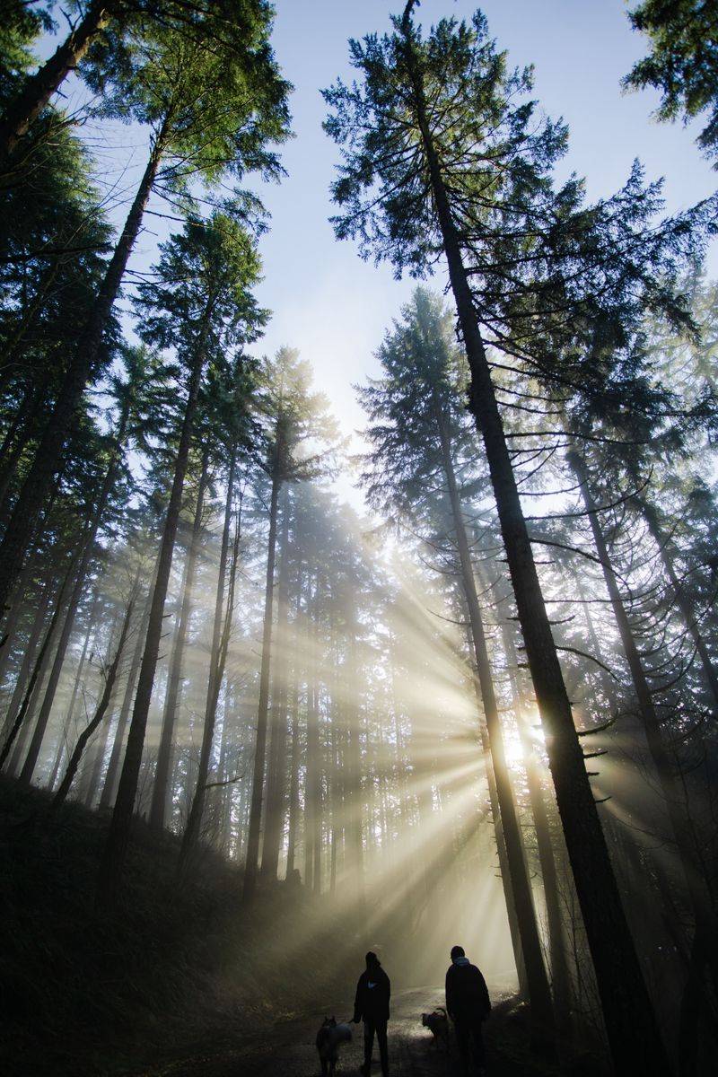 Choose Cooler Times for Summer Walks
