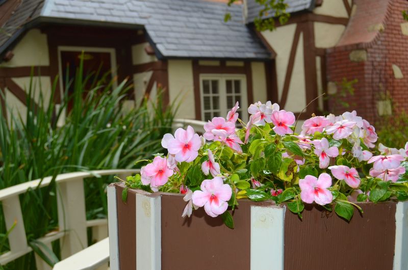 The Inn at Mattei's Tavern, Los Olivos