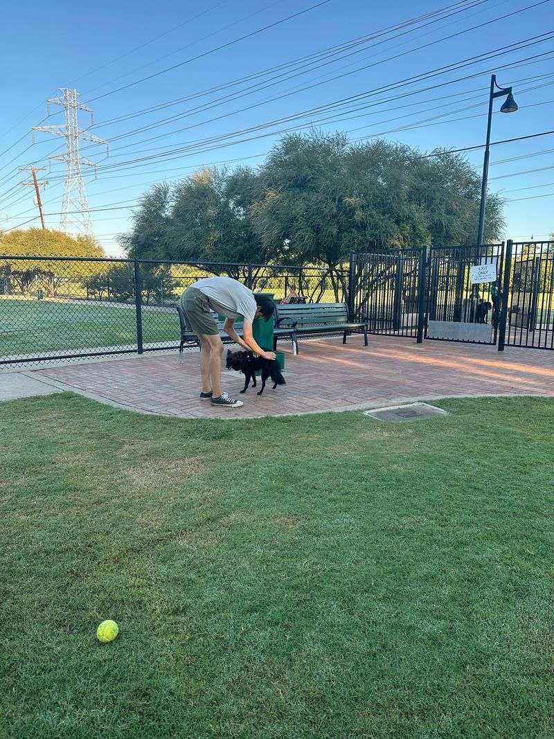 Plano: Polished Parks and Pampered Pups