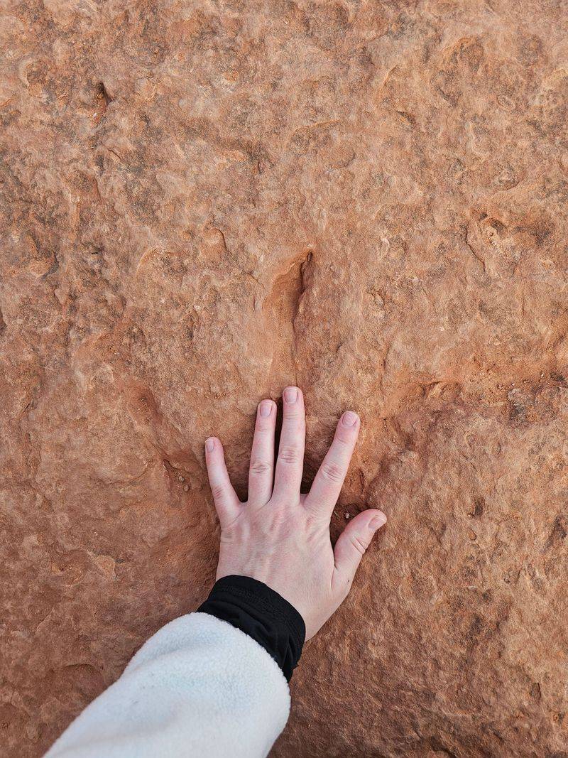 Know When Slickrock Is Too Hot for Paws